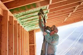 Best Insulation for New Construction  in Salt Creek Commons, IN